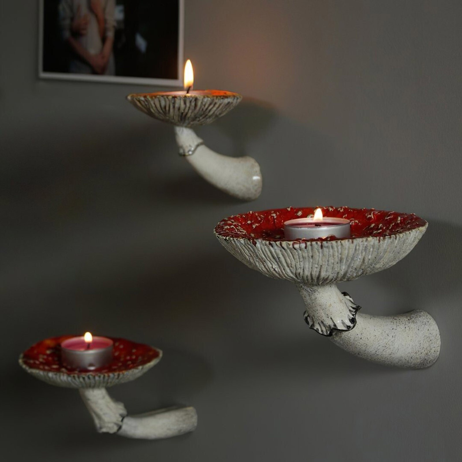 2024 kreatives Pilz-Hängeregal – Floating Shelves Bewertung und Preis