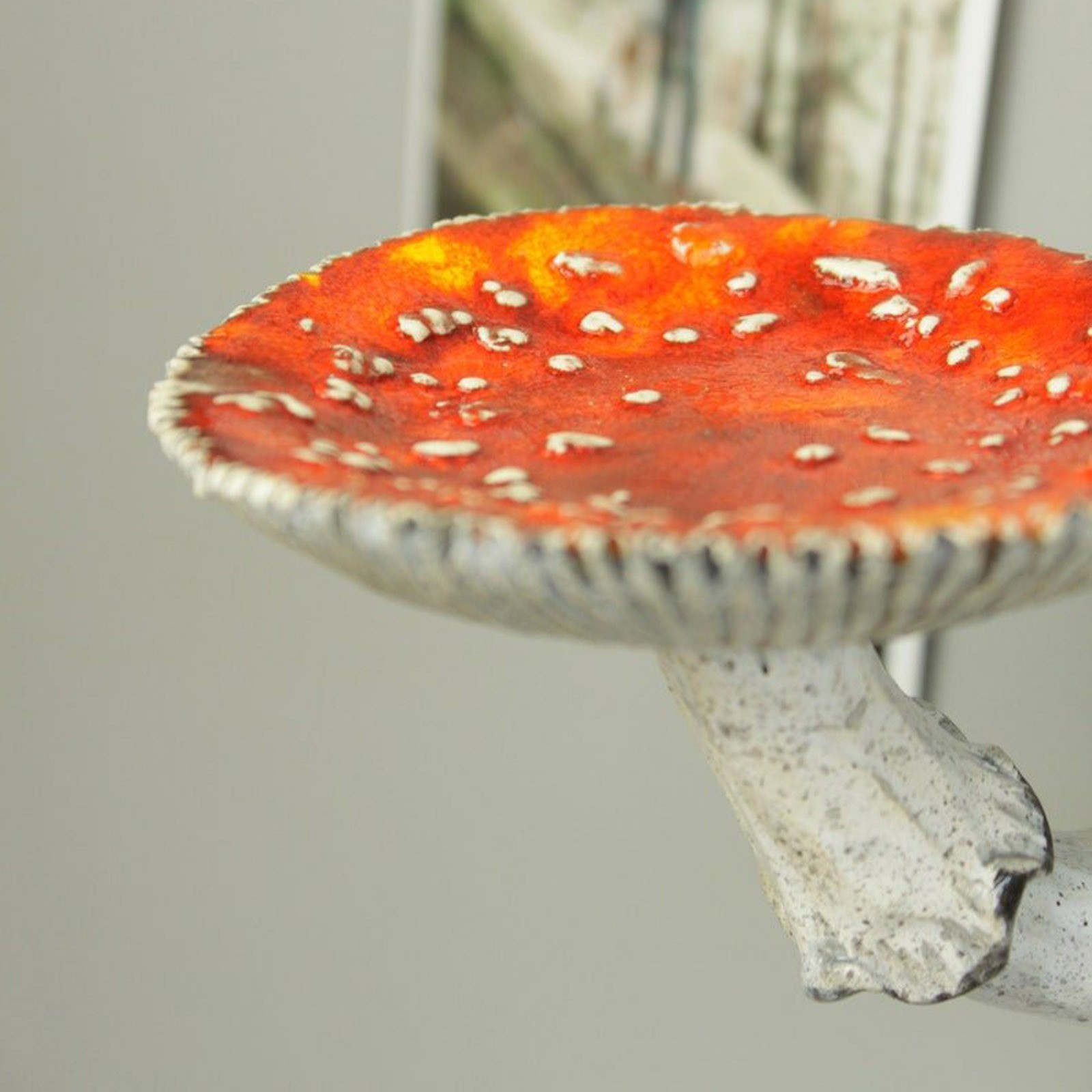 2024 kreatives Pilz-Hängeregal – Floating Shelves Bewertung und Preis
